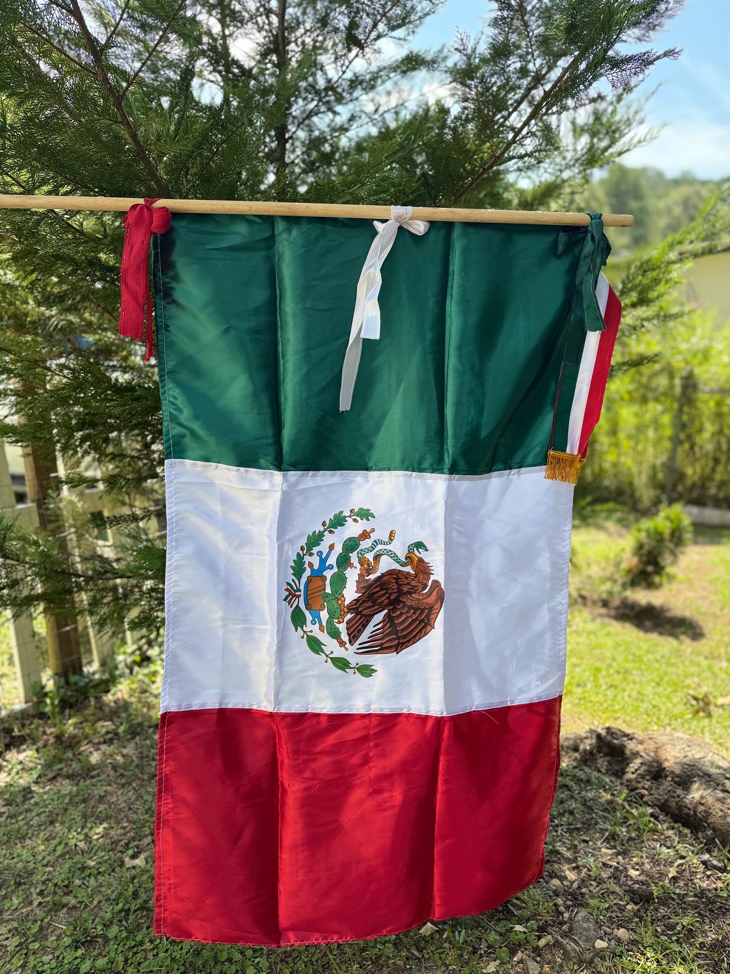Mexican Flag