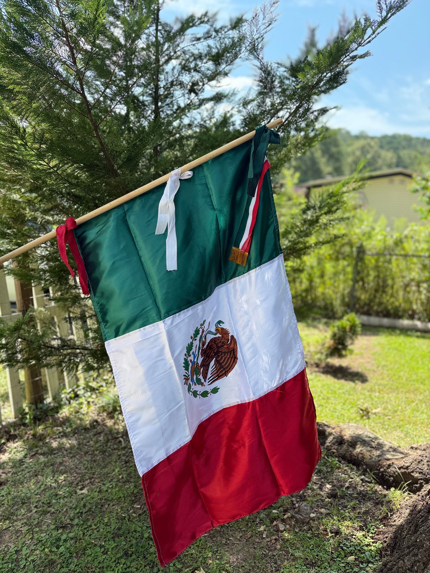 Mexican Flag