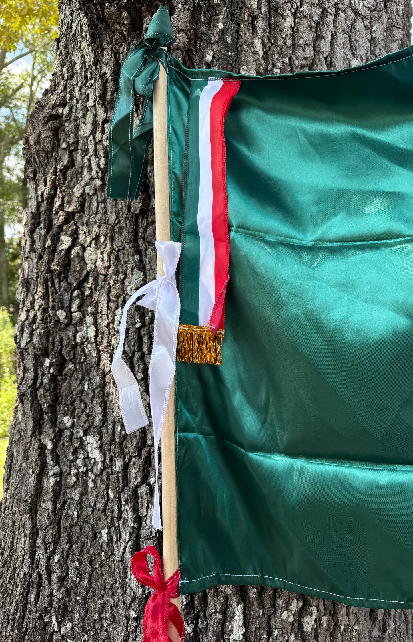 Mexican Flag