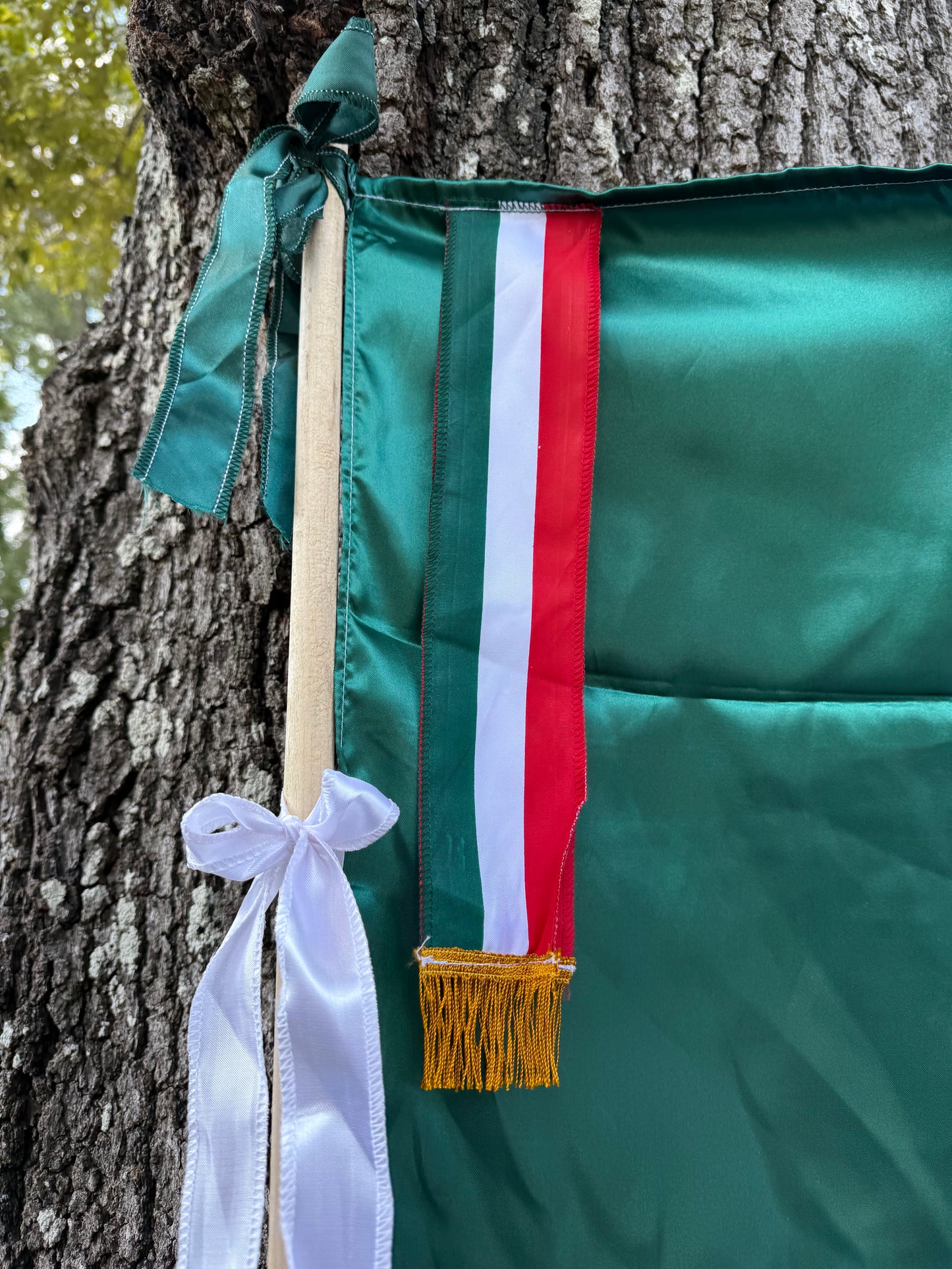 Mexican Flag